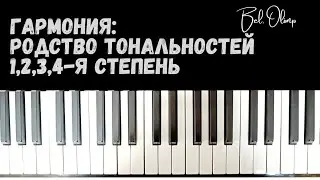 Степени родства тональностей | Гармония