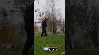 #дубы #Сибирь #дуб Интересно, сколько ему лет?? #хмао #2024shorts