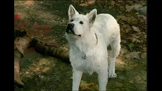 Baldurs Gate 3 - Fetch Quest Achievement