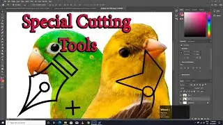 Photoshop Special Cutting Tools / Cutout Kaise kre photoshop Tutorial Hindi