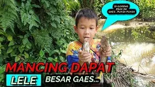 MANCING DAPAT LELE MONSTER