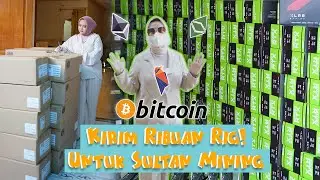 Pemasangan Ribuan Rig Untuk Sultan Mining!!