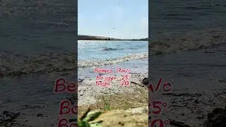 Каменская "Балтика"