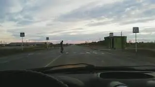 Сигналын кара