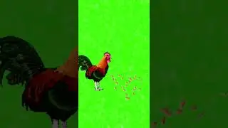 Roster eating green screen 