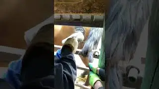 Тавро с азотом