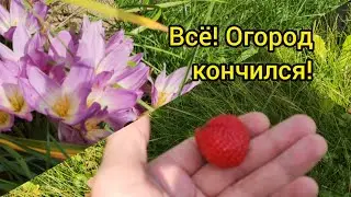 Все! Огород кончился кончился!