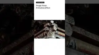 Image Hover Animation Effect With HTML & CSS | #ytshorts #youtubeshorts