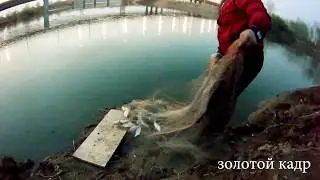 Рыбалка на кастинговую сеть! много судака! и мелкий лещ