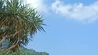 Pantai Pulau Merah|Banyuwangi|Jatim