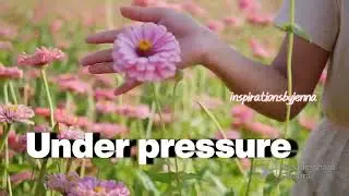 #takethetime #wildflowers 🌸🌺