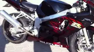 Suzuki GSX-R 600  custom paint