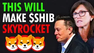 Cathie Woods and Elon Musk Just invested in Shiba Inu! | Cryptology