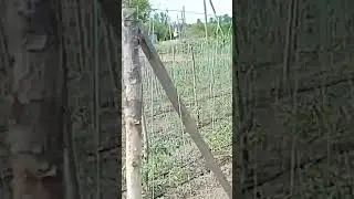 16 июня 2023 г.