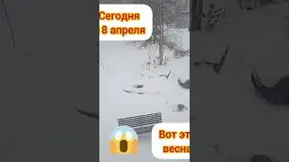Весна, 18 апреля 🤣🤣🤣 @SeverSW