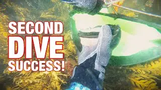 Vlog | DIVING FOR PĀUA | Boil Up | Gym & Swim