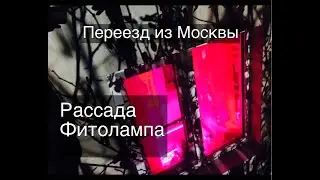 ТЕПЛЫЙ ДЕНЬ / ФИТОЛАМПА / РАССАДА / ЗАВТРАК / ПРИРОДА. Переезд из Москвы  Жизнь в доме ПАПА МАМА СЫН