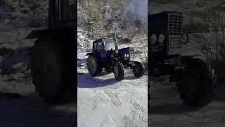 Трактор Беларусь мтз 82 #tractor