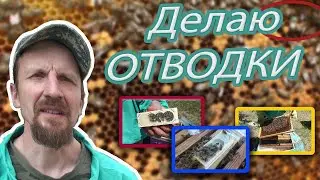 Делаю отводки.Май 2024г.