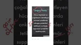 Onkogen/tümör suppressor? 