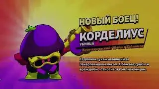 ОПЯТЬ БРАВЛ