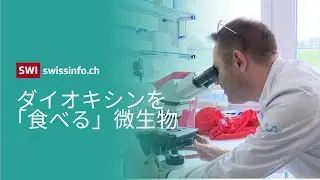 ダイオキシンを分解する微生物：スイスのスタートアップの驚異の環境浄化技術