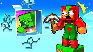 Trapping My FRIENDS on a FAKE Skyblock in Minecraft!