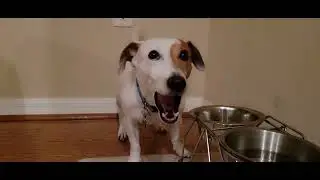 More Feeding Time!!!!!!!!!!!!!! 2