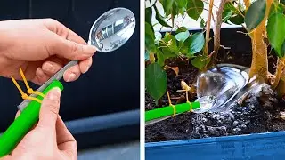 Trucchi Intelligenti per le Piante e Consigli di Giardinaggio che Semplificheranno la Tua Vita