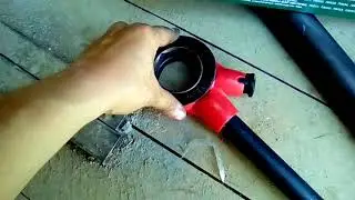 The 