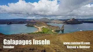 Tierwelt Galapagos Inseln in Ecuador