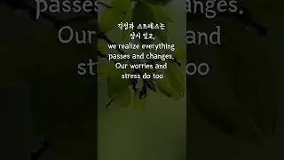 지친 두뇌를 위해 잠시 쉬었다 가세요!  #힐링음악 #봄비 #자연소리