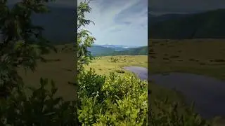 Це Українські Карпати 🇺🇦❤️