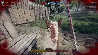 Разносим в Морде