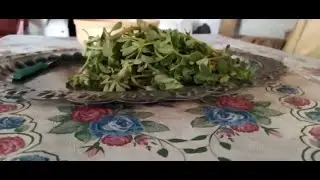 SEMİZ OTLU (PİRPİRİMLİ) CACIK