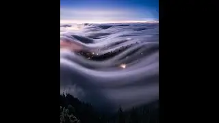 Тайны мозга и лабиринты жизни.