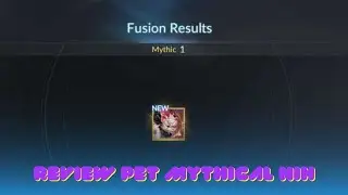 PET BURIK PET BURIK, PENSI LEBIH BAIK SIH | SEVEN KNIGHTS 2 ARENA