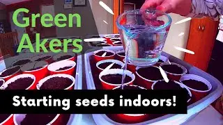 A CHEAP Way to Get Seeds Started Indoors!