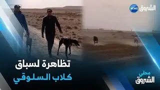 #أم_البواقي