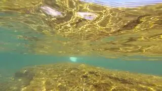 Охота на кефаль. 36 км. Майкин.