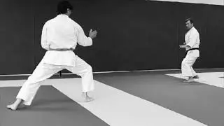 Démonstration Keiko-Dōjō - Jiyu Ippon Kumite