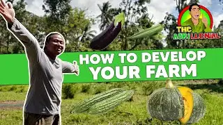 From Orchard to Vegetable Farm: Farm Development in Laguna | The Agrillenial