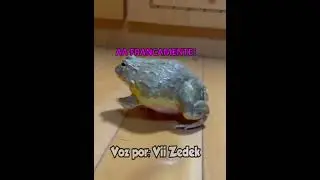 sapinhos que nos entendem 2