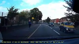 Pigeon enters car through window and decides to hitch a lift!