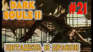 Dark Souls 2 Scholar Of The First Sin №21. Цитадель и Курица