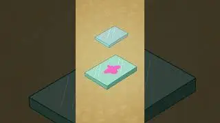 늘보로리스 (슬로우로리스)