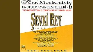 Ud Taksimi