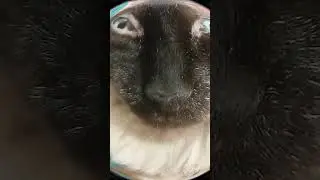 миниреп Артурчика 😂