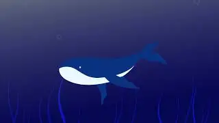 Fish animation.Whale animation. Fishes