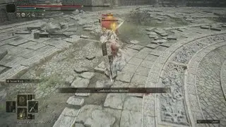 ELDEN RING 2v2 Madness